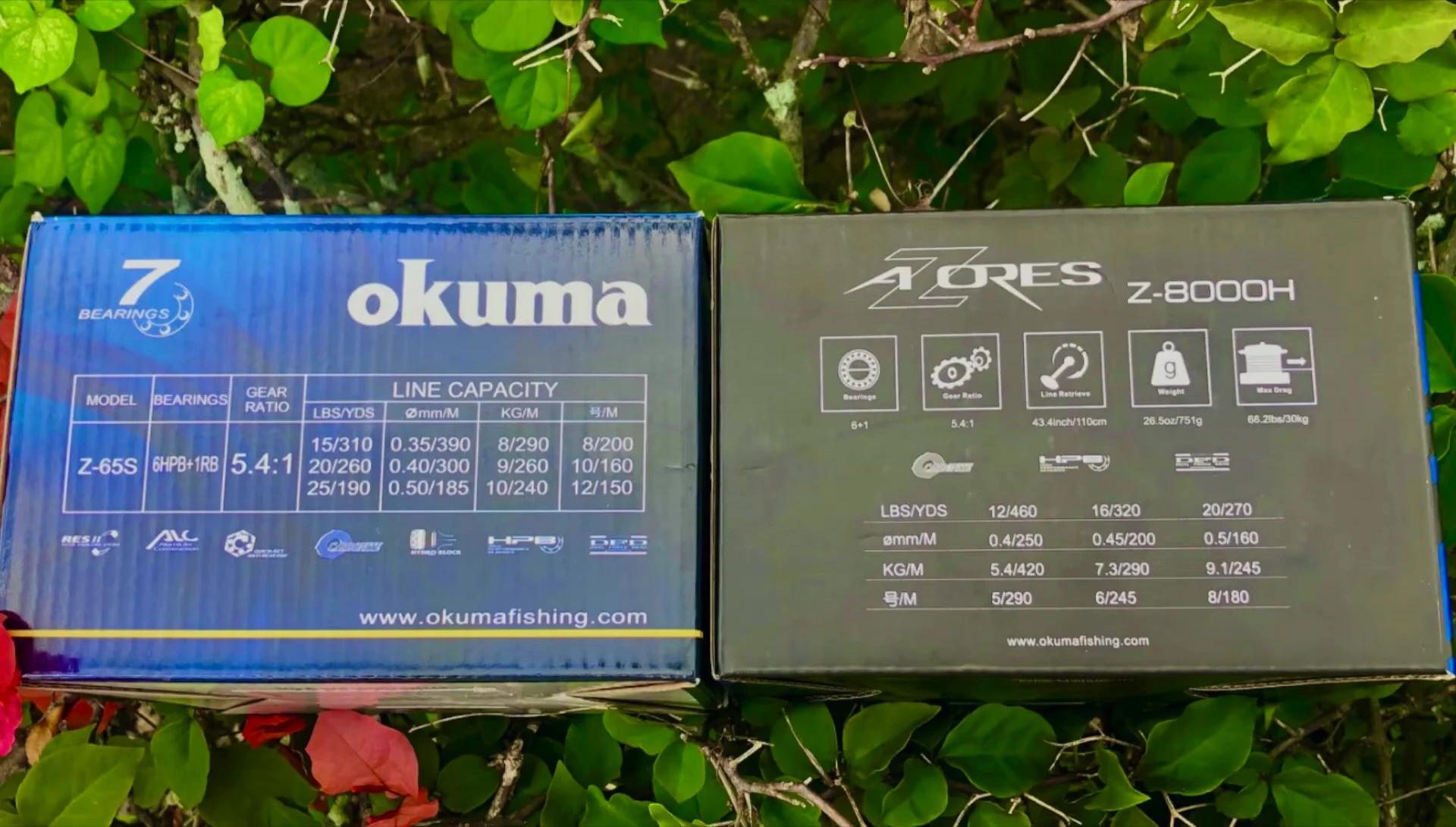 Comparison of old and new model numbers