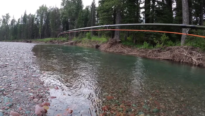 Use rod tip manipulation to escape the fly from the pool.