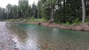Mastering Dry Fly Fishing: Techniques for Success on Clear Rivers