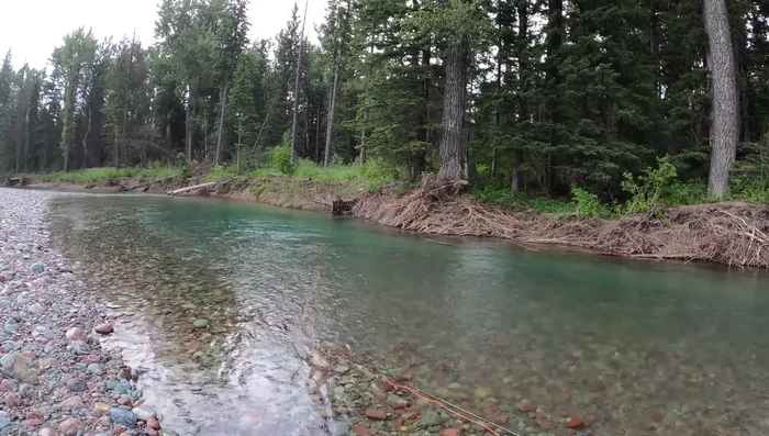 Use skittering and line feeding to present your fly along a ledge.
