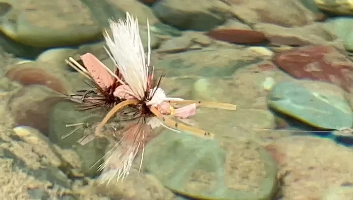 Use a fly with good quality hackle to help it sit on the surface and skitter effectively.