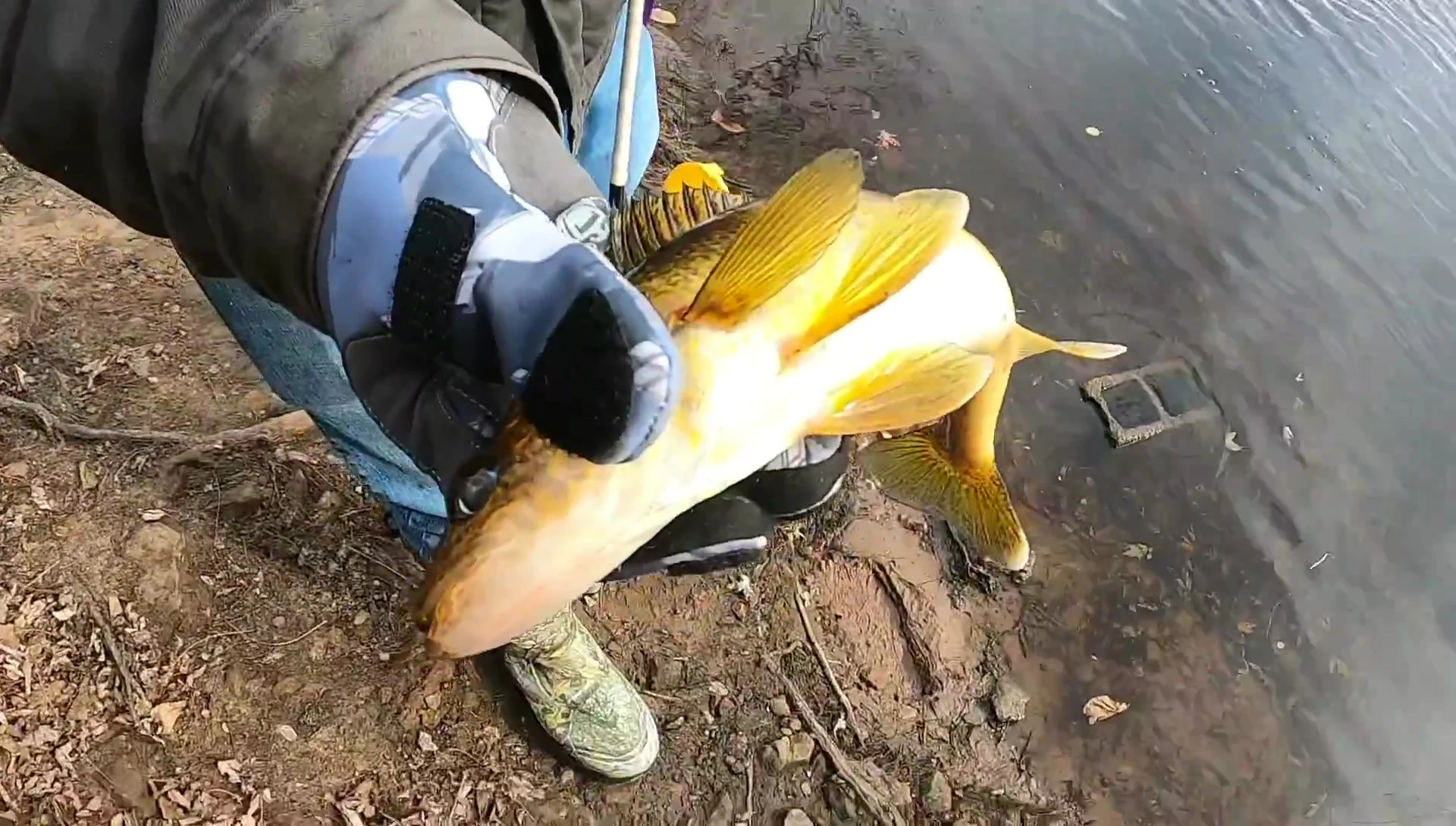 The reviewer holding a fish while wearing the gloves.