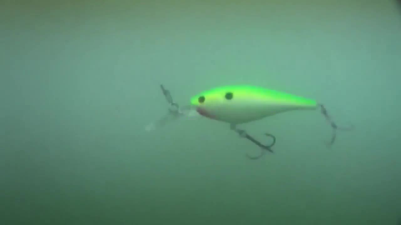 Testing the Flicker Shad in various bodies of water