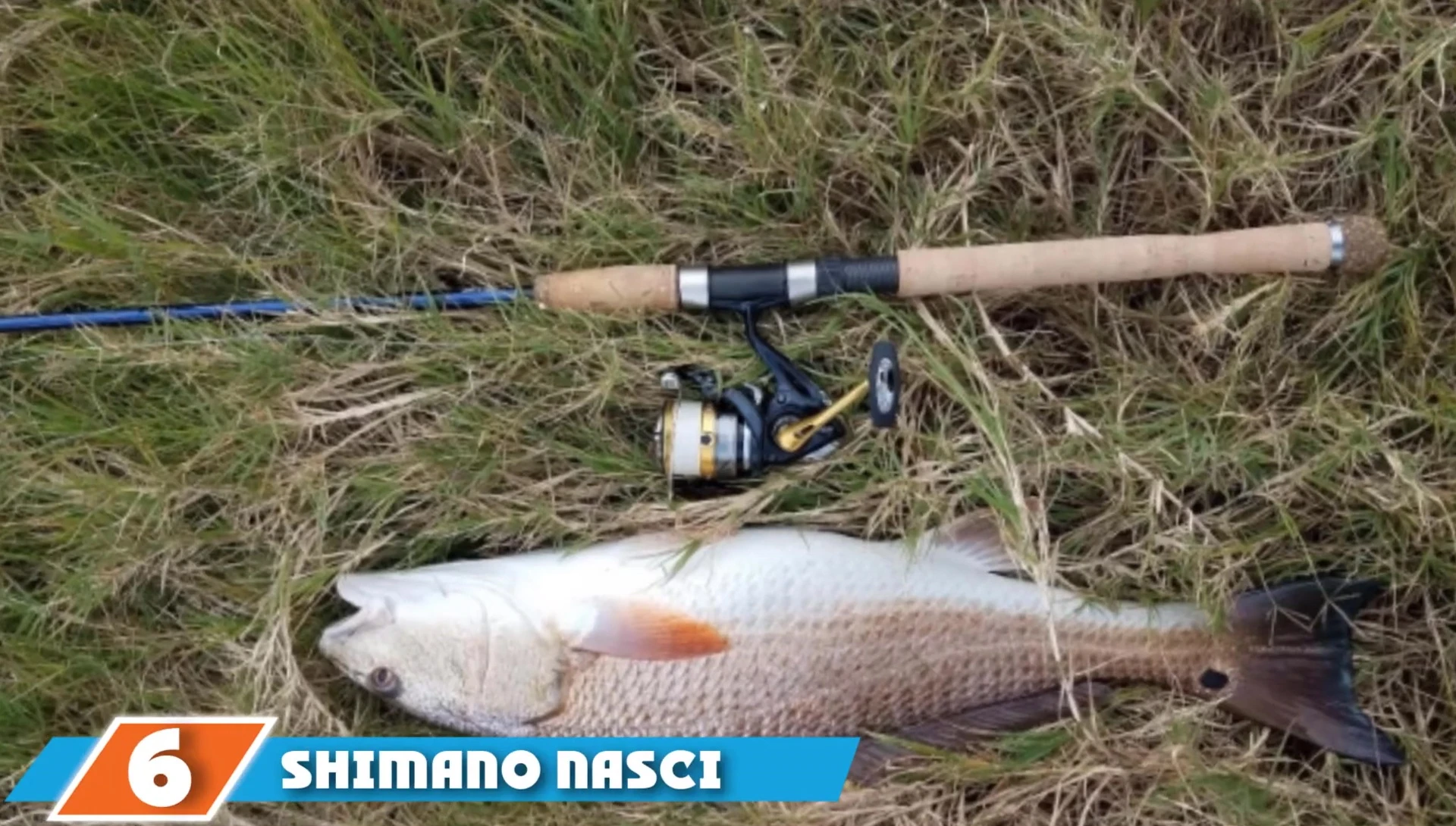 Shimano Nasci reel shown