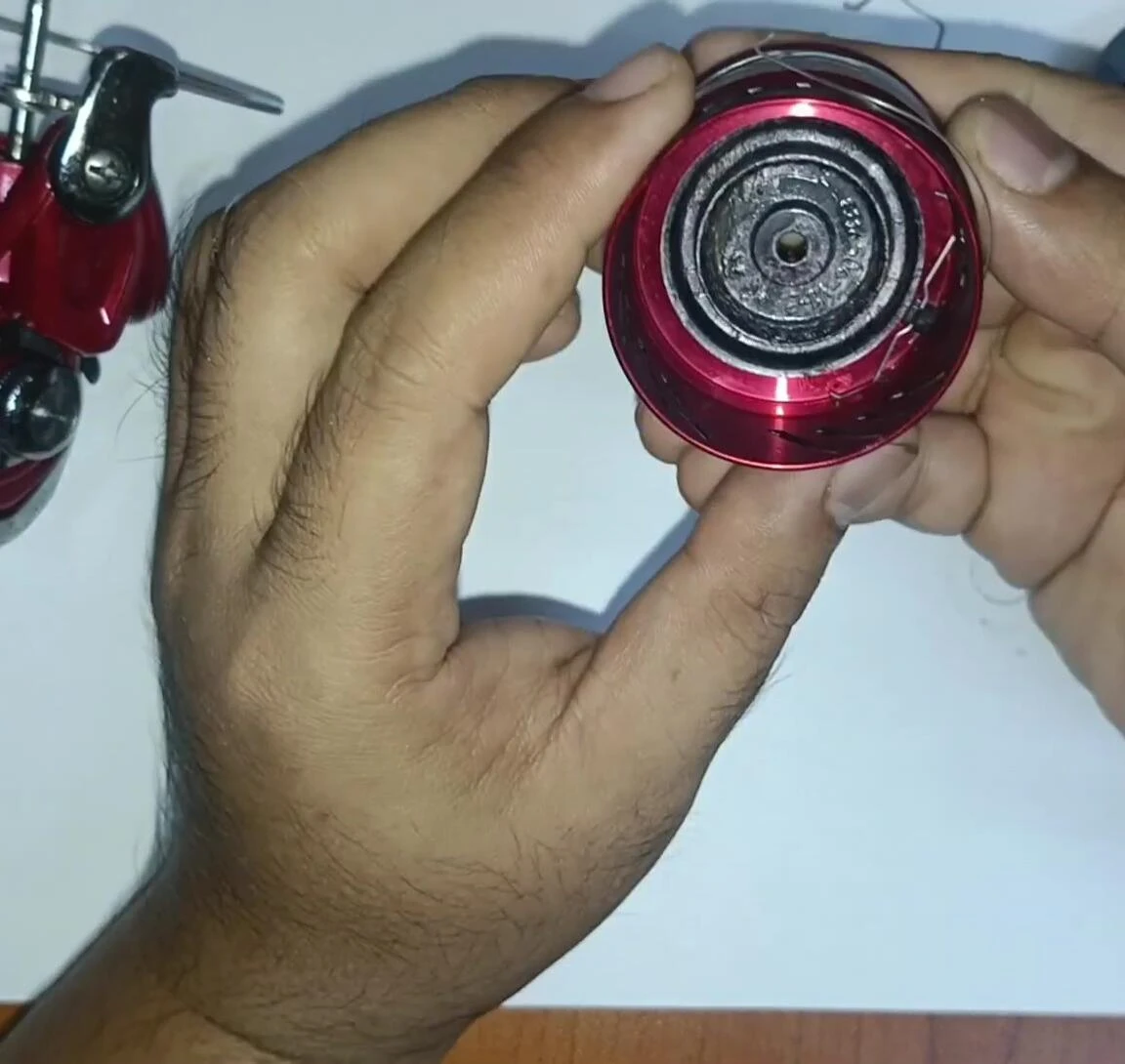 Internal parts, mainly plastic, highlighted.