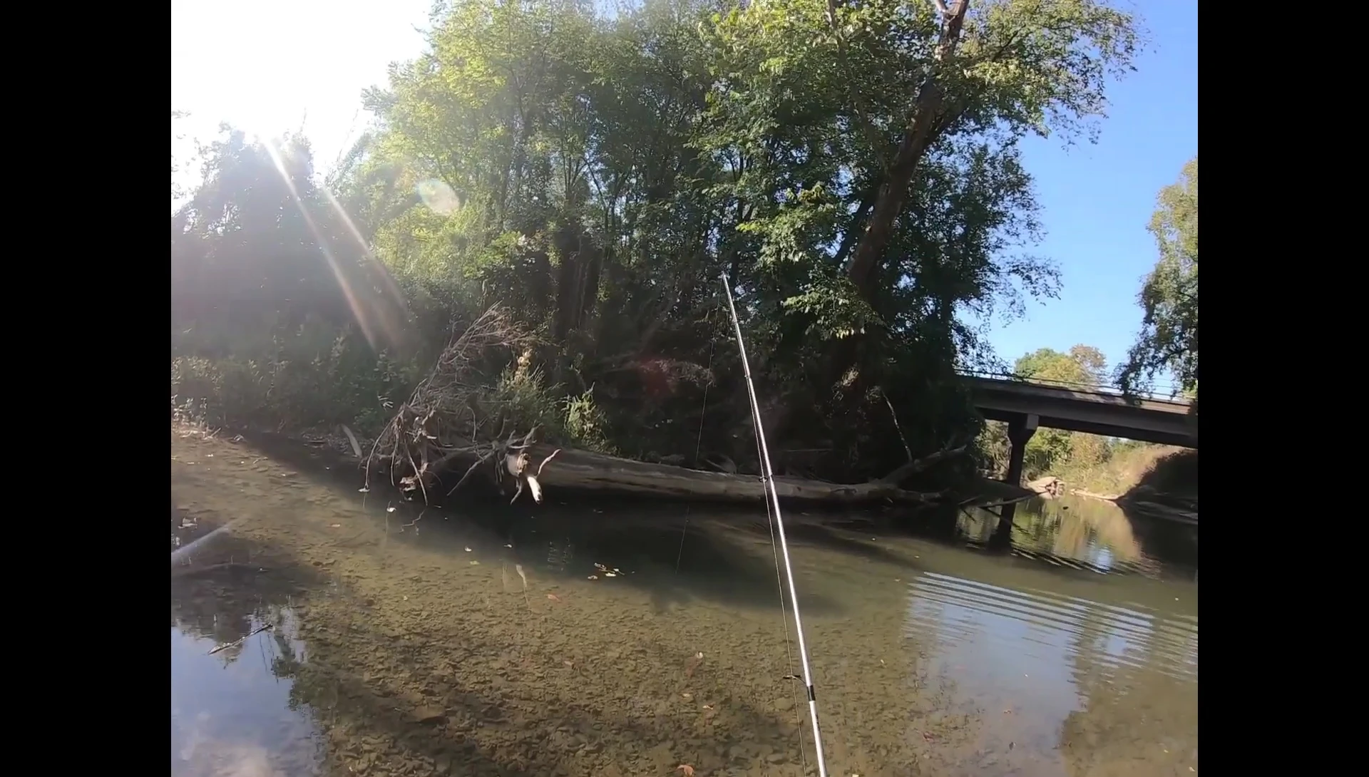 A successful catch of a fish.