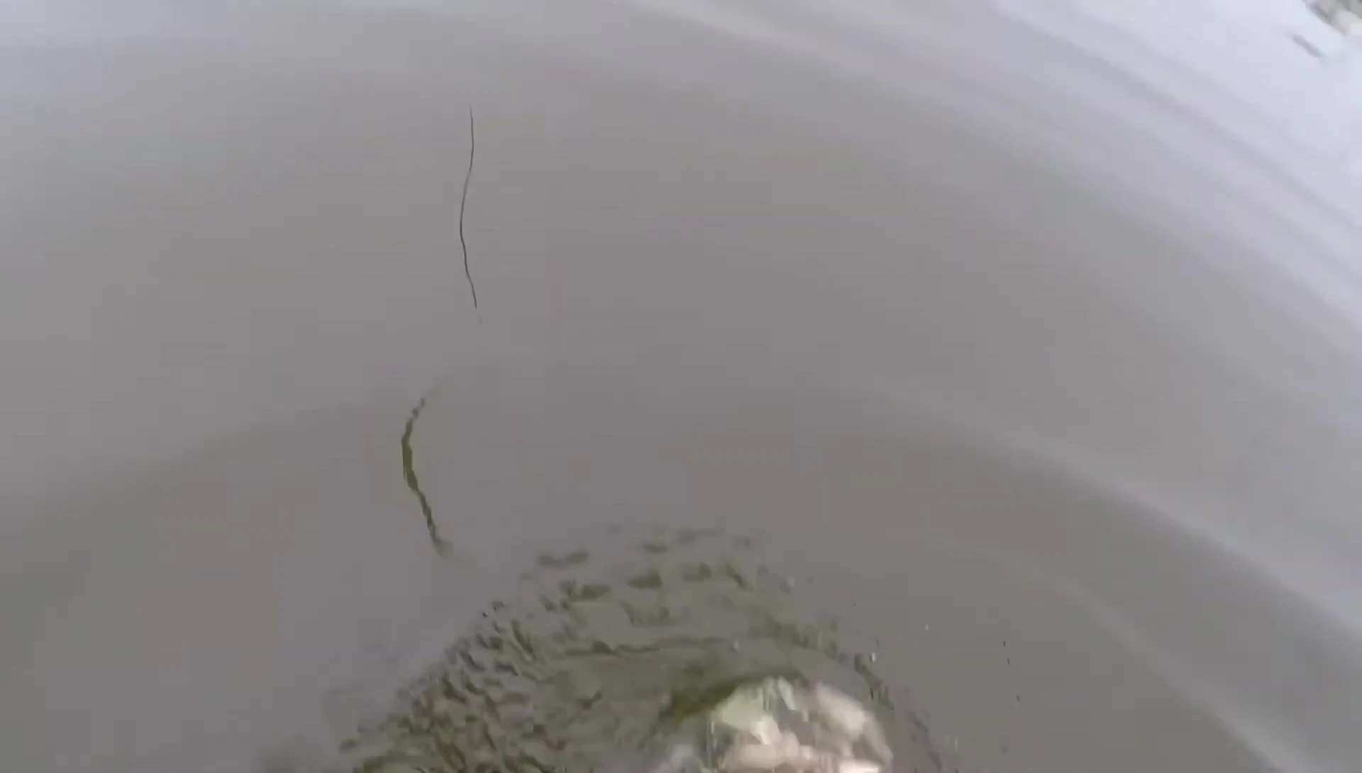 A moment showing the waders' performance and coverage when wading in deeper water.