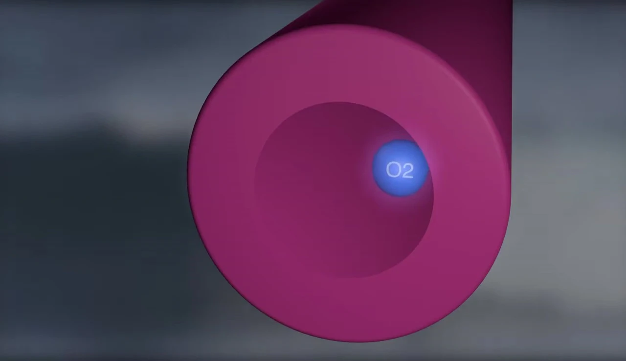 Image explaining the vasodilator effect of infrared energy.