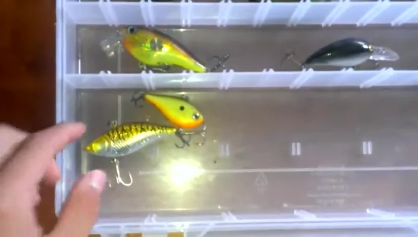 The lipless crankbaits stored in the bag.