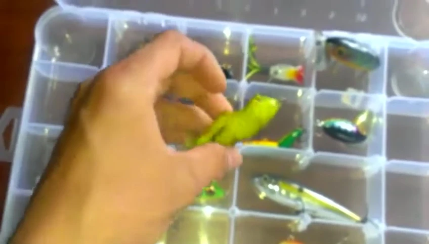 Some of the topwater lures in the box