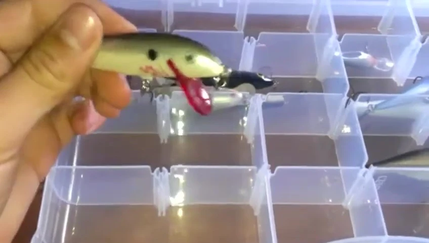 Some of the jerkbaits in the box.