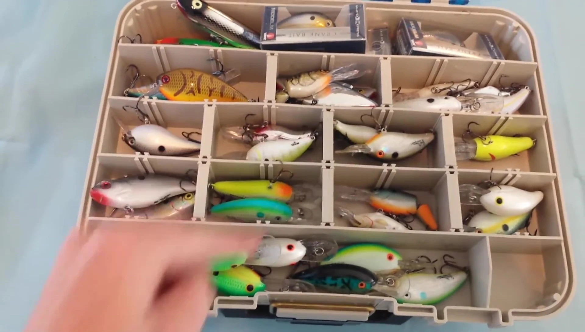 Close-up showing the adjustable dividers in the top compartment