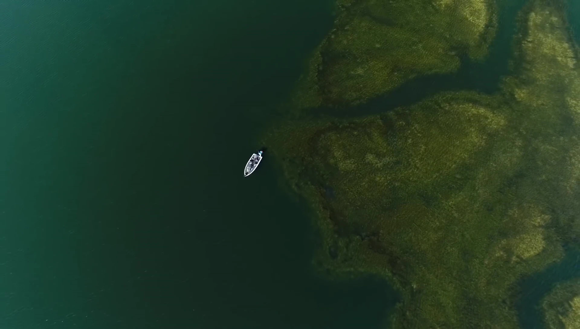 View of the lake showing the grass line and flat areas targeted by the angler.