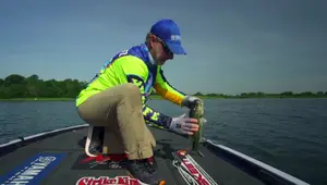 KVD Jerkbait Review: Deep Diving Action for Summer Bass