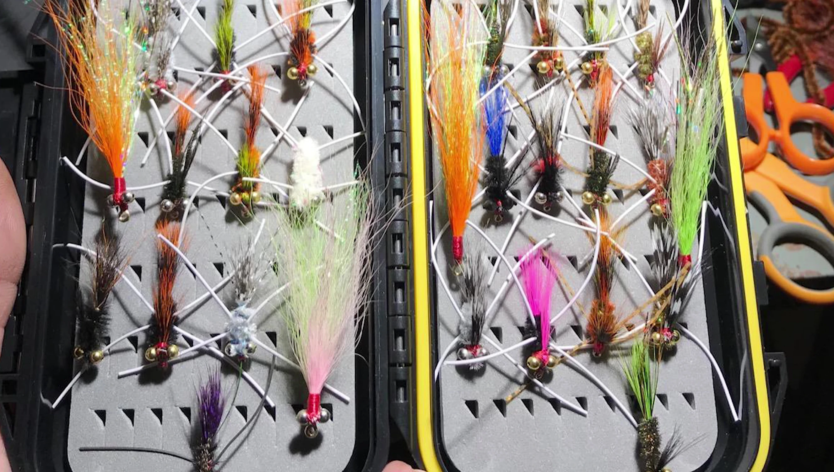 Image illustrating the substantial capacity of the Fly's Direct box
