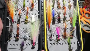 Top 10 Best Waterproof Fly Boxes for 2022: A Comprehensive Review