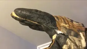 Top 10 Best Duck Hunting Gloves 2024: Ultimate Buyer's Guide