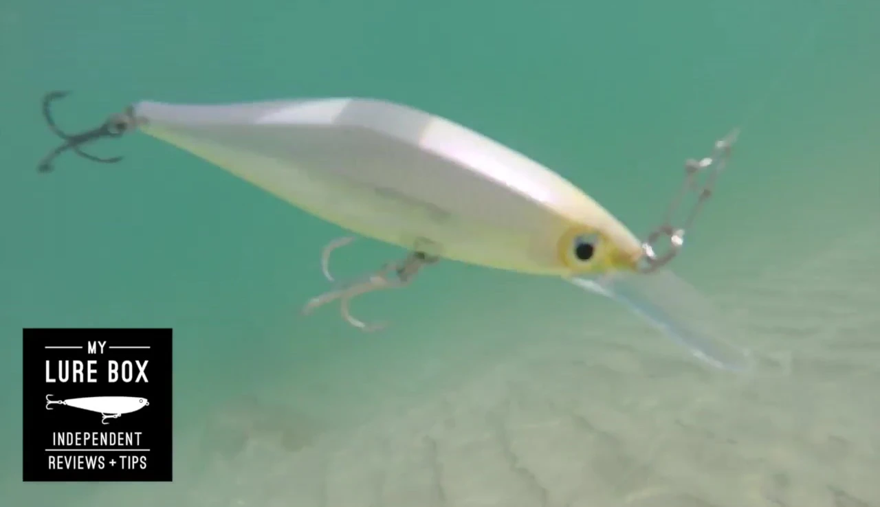 Demonstration of the deep running Shadow Rap Shad's action in the water.