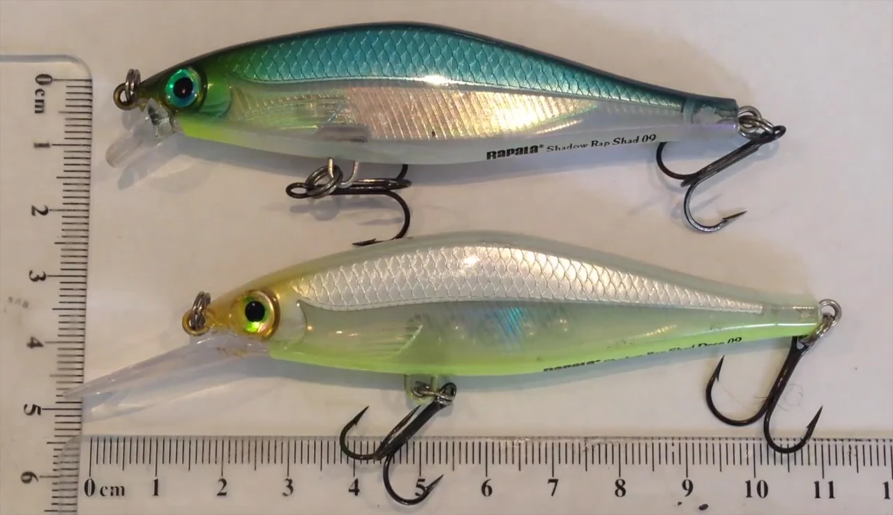Close-up of the Rapala Shadow Rap Shad lures, showing both deep and shallow running versions.