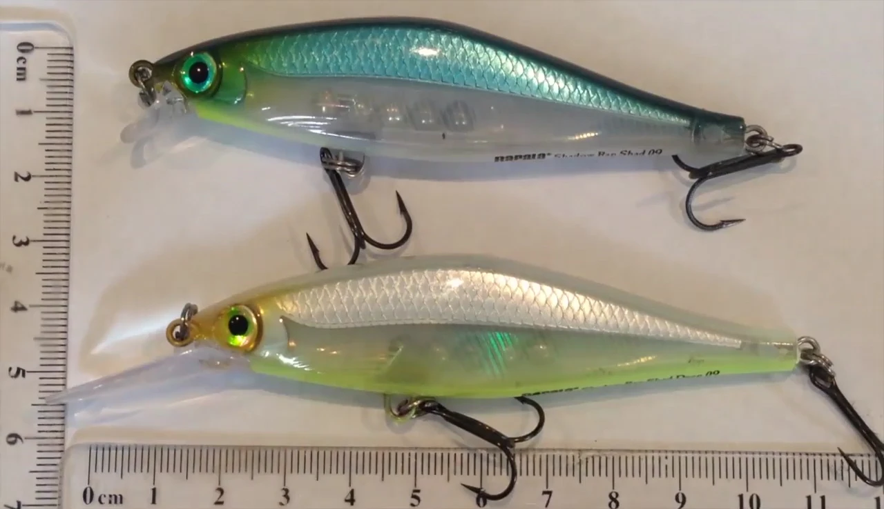 A shot showing the various colors available in the Rapala Shadow Rap Shad series.