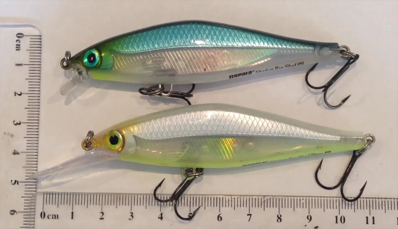 Images showing Australian bass caught using the Rapala Shadow Rap Shad.