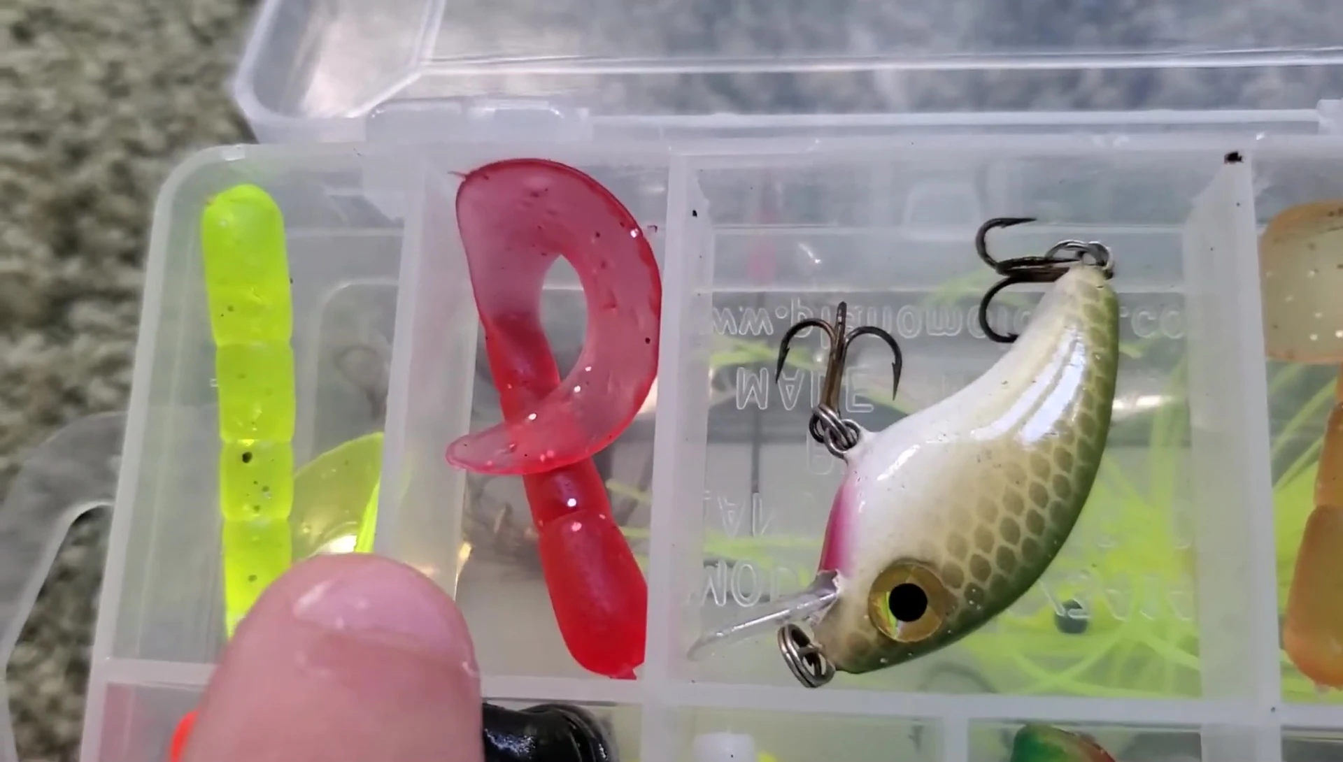The artificial worms in various colors.