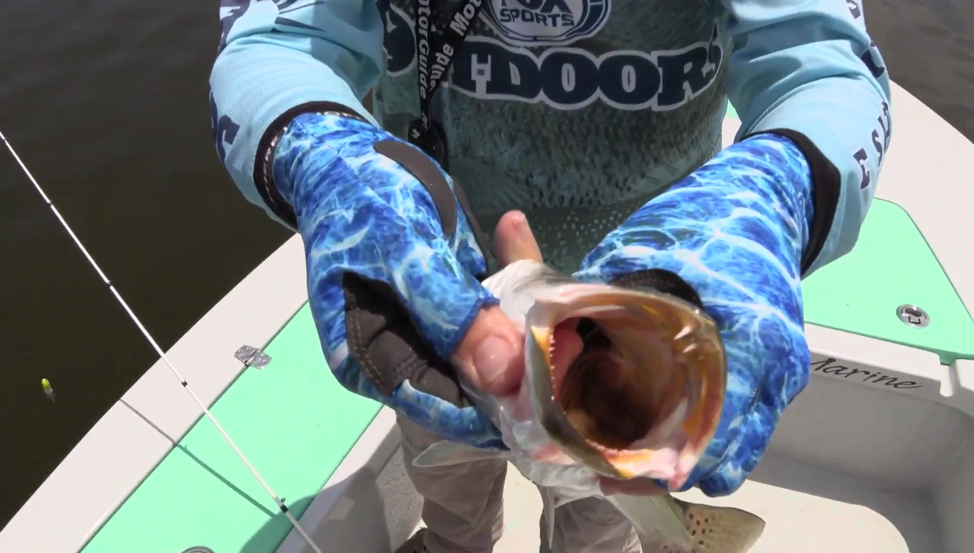 Close-up shot showing the sharp teeth of a fish.