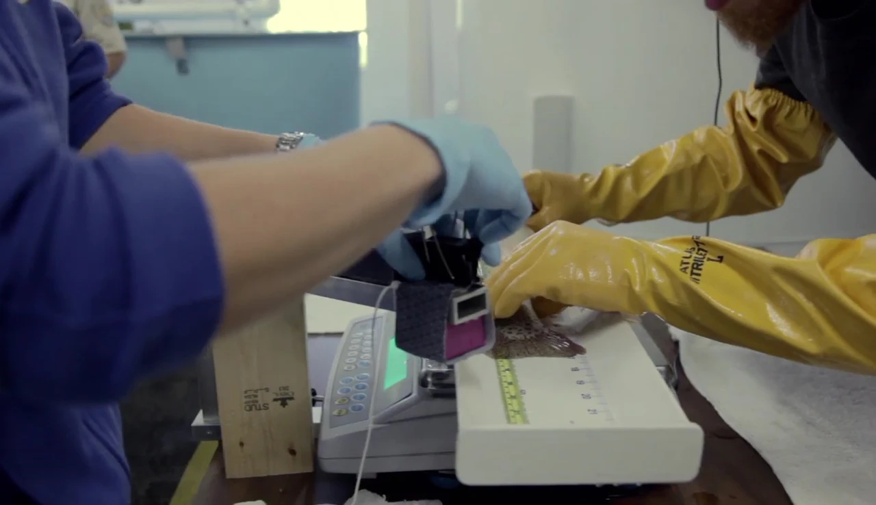 Close up showing the experiment setup.