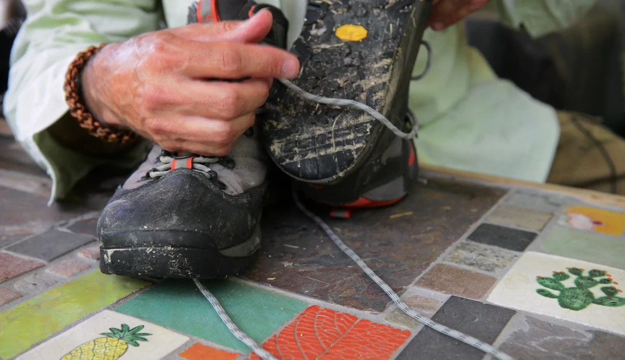 Close up detailing the effects of zebra mussels on the sole