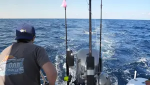 Top 10 Best Value Saltwater Trolling Lures: A Comprehensive Review