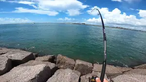 Best Surf & Jetty Fishing Hooks: 3 Must-Have Styles