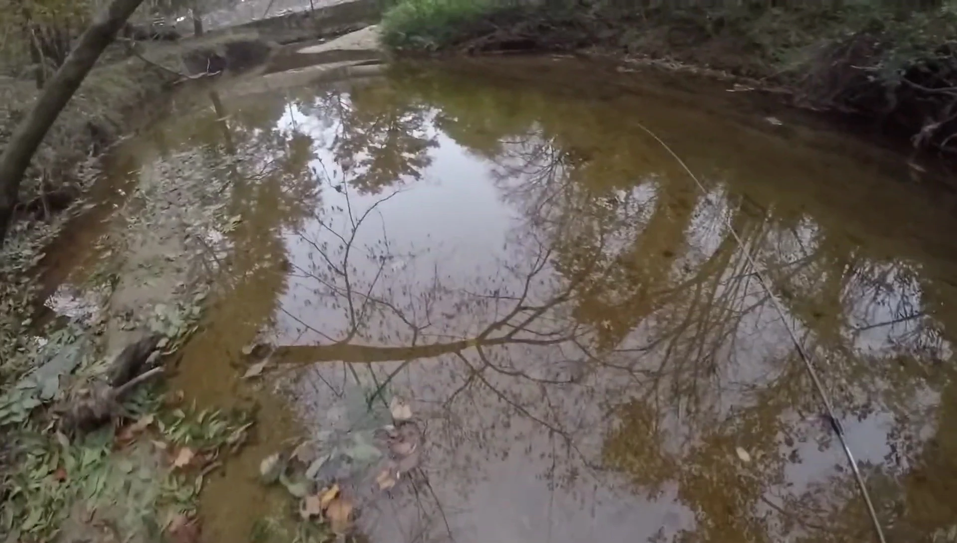 The narrator tests the waterproofness of the waders in the creek.