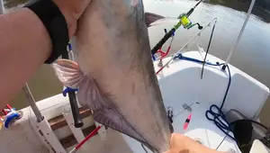 Fishing Hooks: J-Hooks, Treble Hooks, and Circle Hooks - A Complete Guide