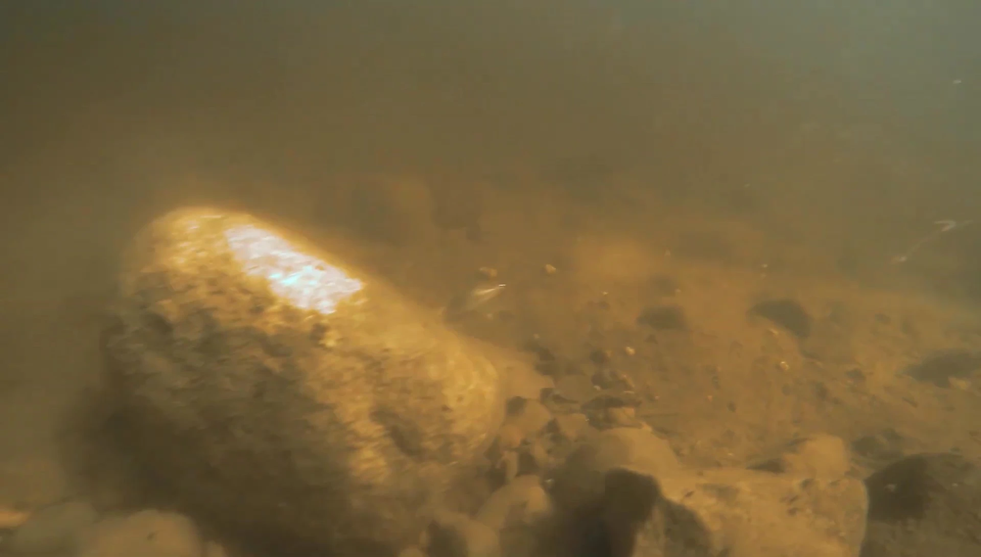 Highlighting the blade's flashing and rotating motion.
