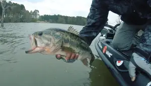 VMC Bladed Hybrid Treble Hook Review: Enhancing Lure Appeal