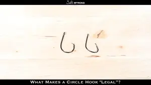Legal vs. Illegal Circle Hooks: A Comprehensive Guide