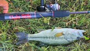 Top 10 Best Ultralight Spinning Reels: A Comprehensive Review