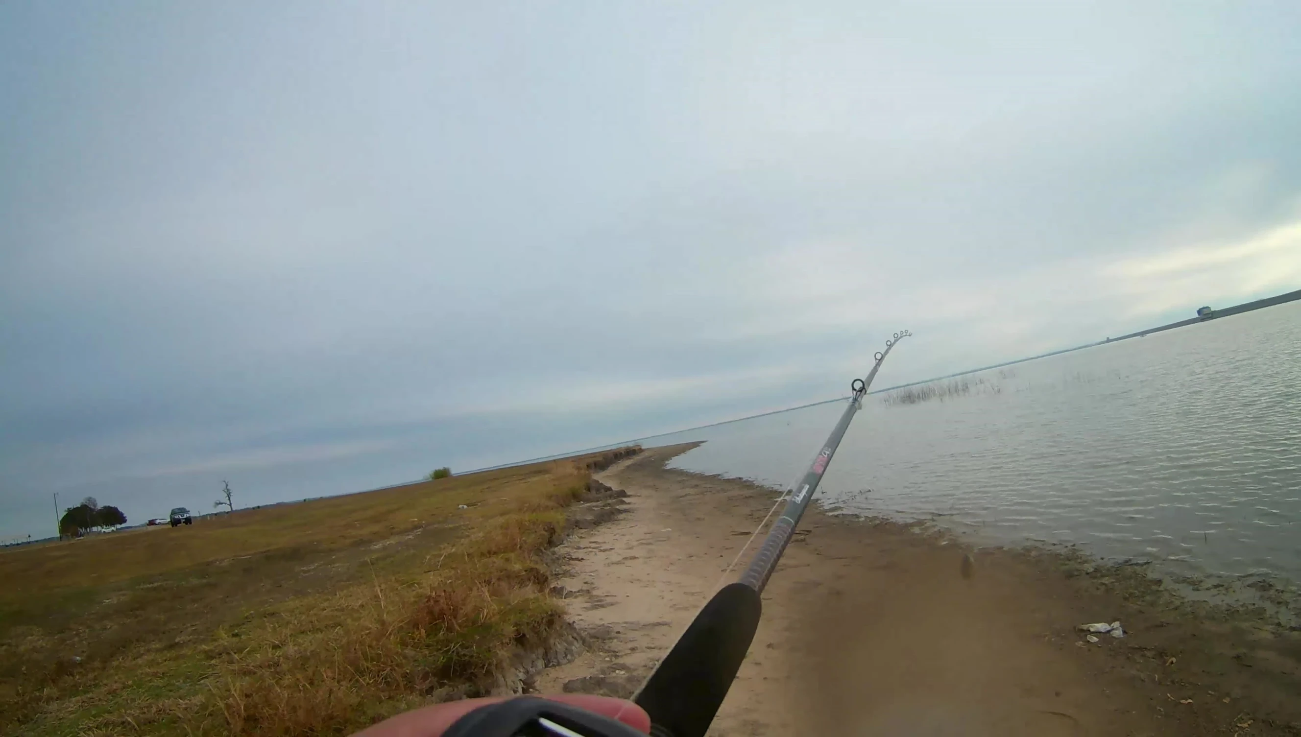 The reel's drag system