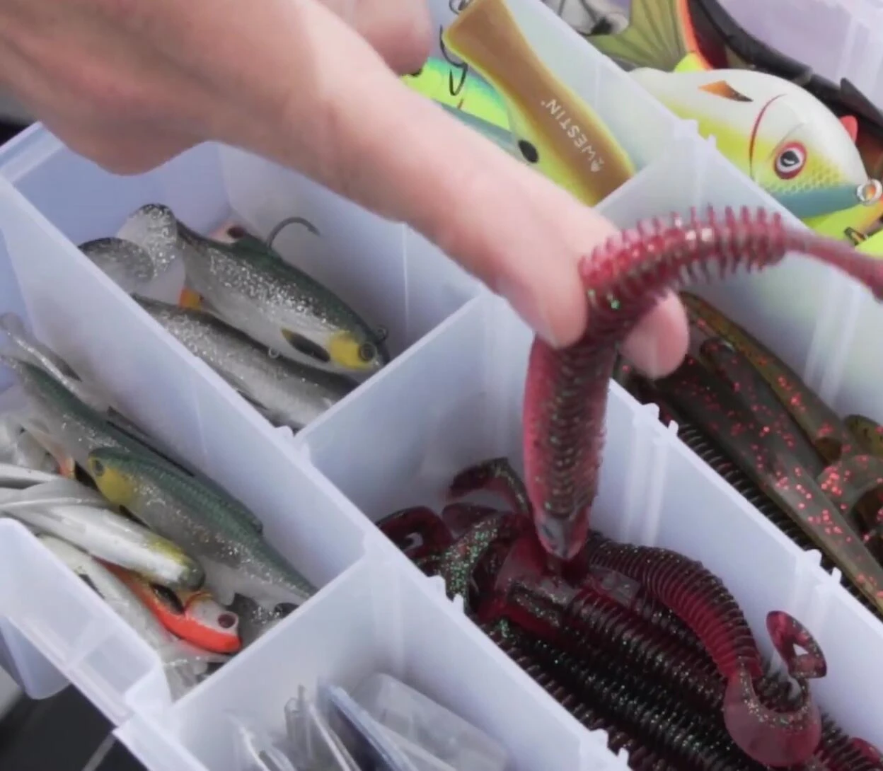 Another view of the tackle box full of lures